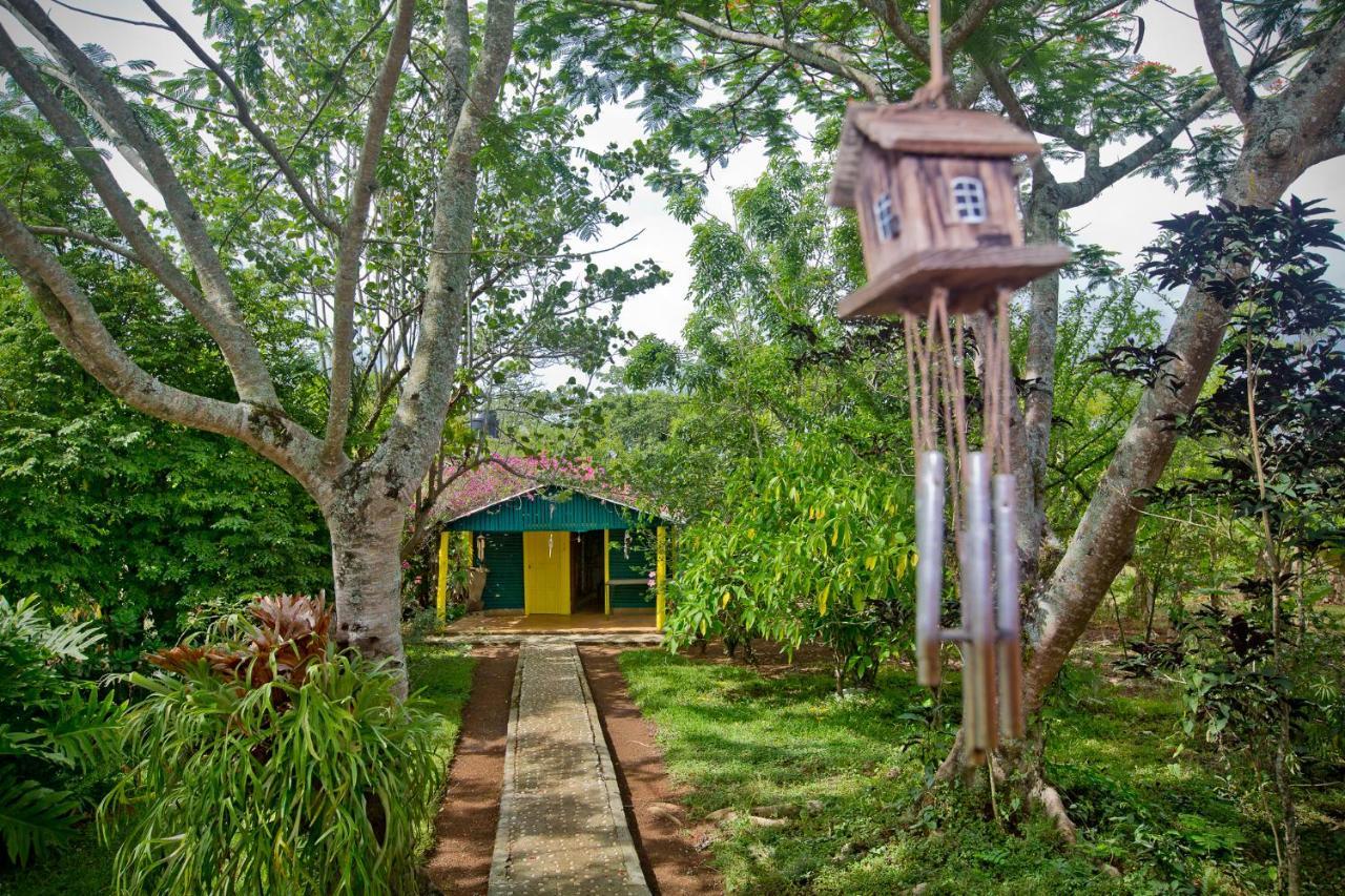 Villa Anacahuita, Limonal Jarabacoa Εξωτερικό φωτογραφία